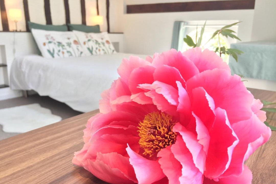 Photo of Bedroom in Maule