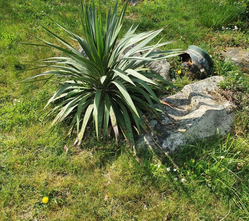 Photo of Others in Moigny-sur-Ecole