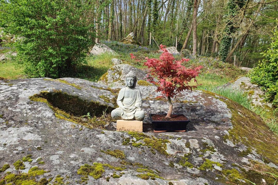 Photo of Others in Moigny-sur-Ecole