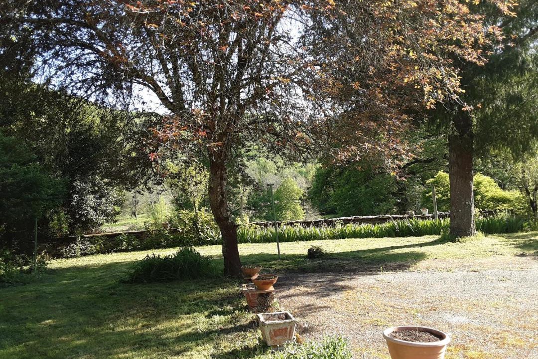 Photo of Others in La Salvetat-Peyrales