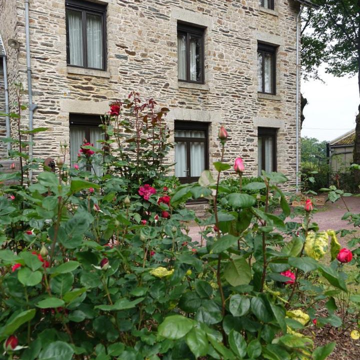 Photo of Buildings in Malestroit