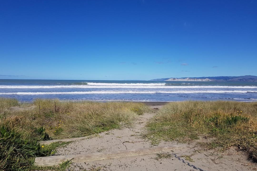 Photo of Others in Gisborne