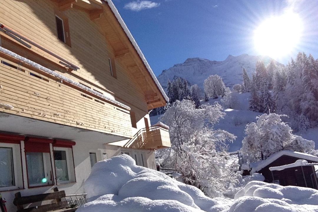 Photo of Others in Wengen