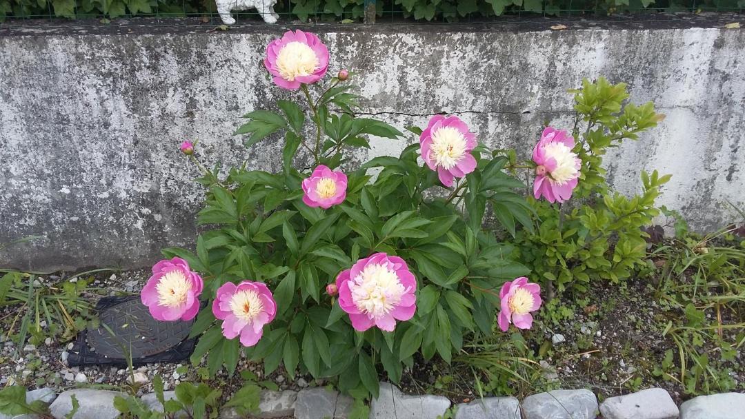 Photo of Outdoor in Saint-Maurice-en-Trieves