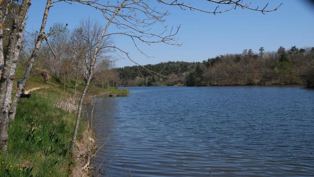 Photo of Others in Cheminas