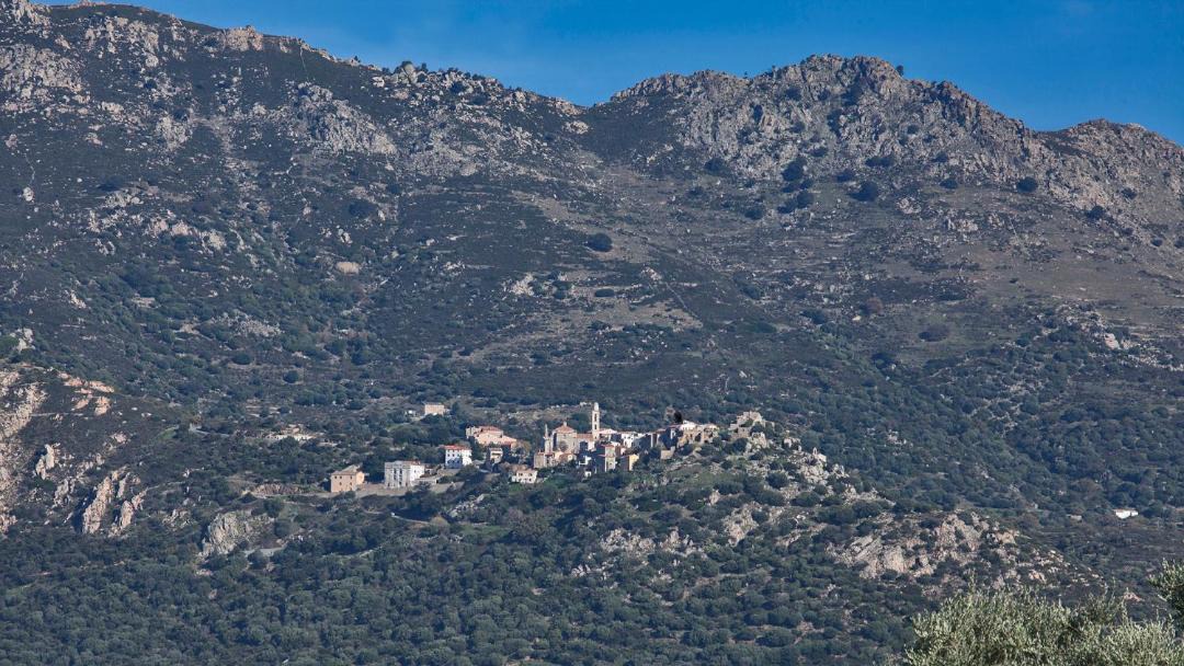 Photo of Others in Calenzana