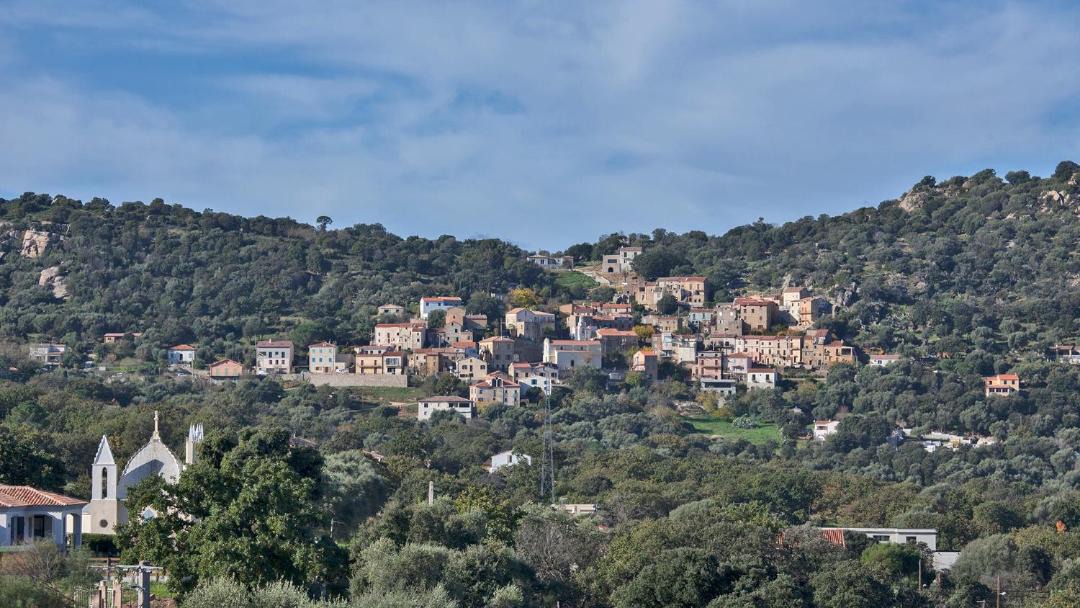 Photo of Others in Calenzana