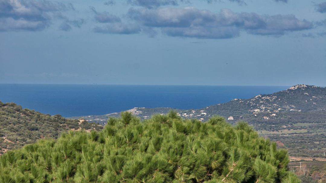 Photo of Others in Calenzana