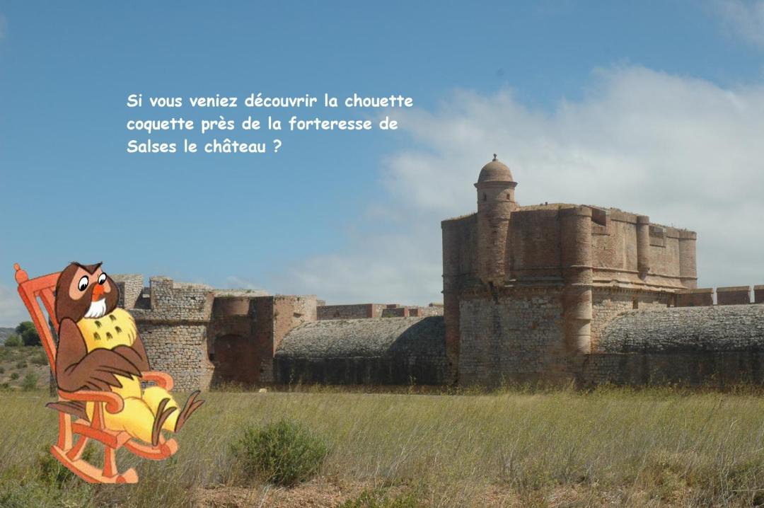 Photo of Others in Salses-le-Chateau