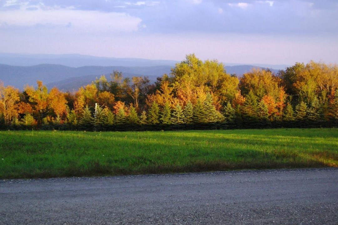 Photo of Others in West Dover