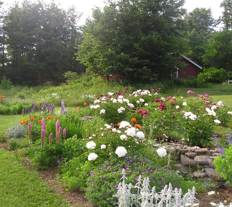 Photo of Others in West Dover