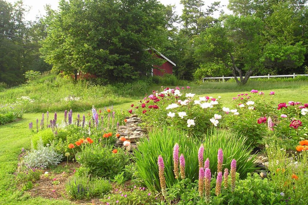 Photo of Outdoor in West Dover