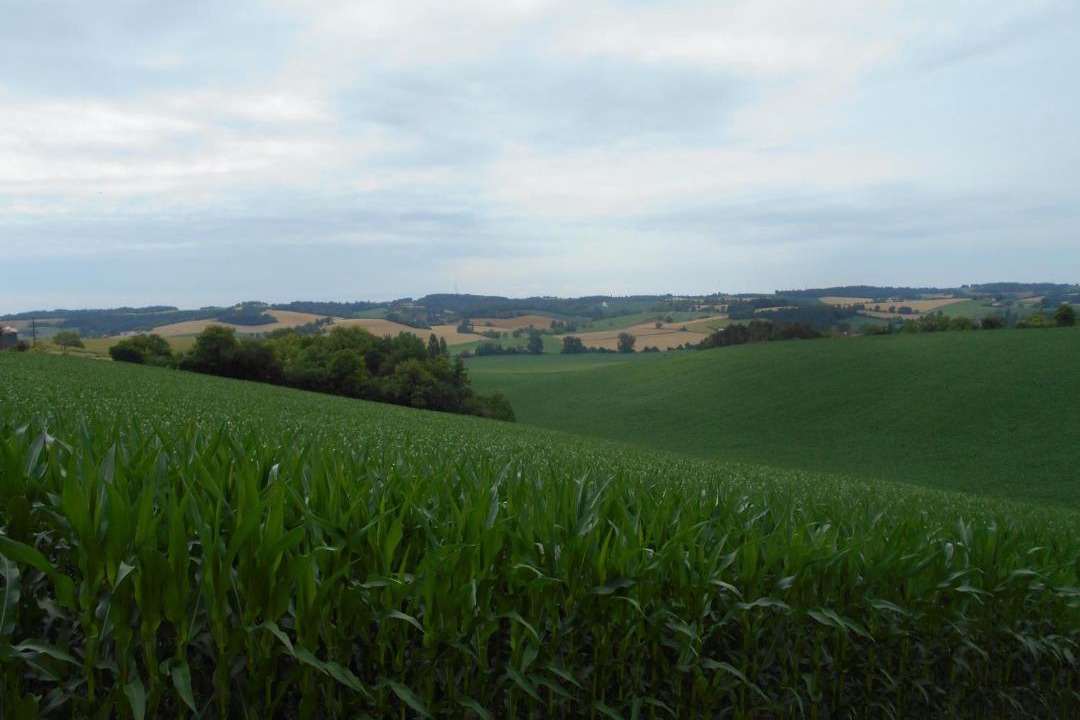 Photo of Outdoor in Nanteuil-de-Bourzac