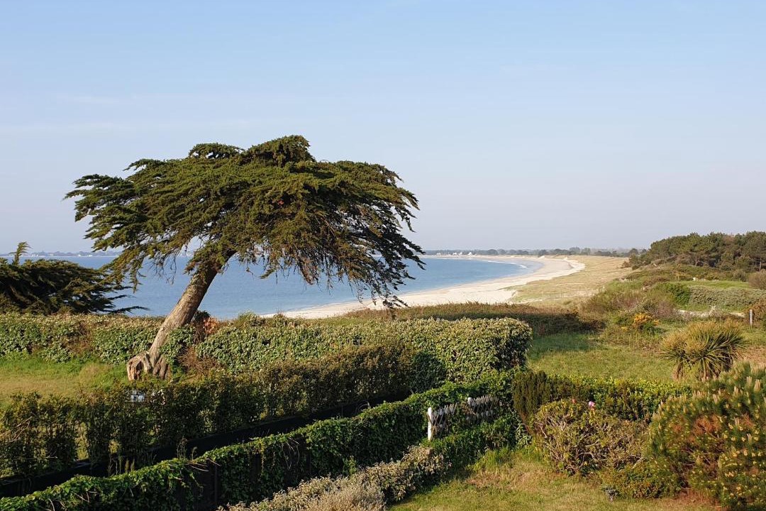 Photo of Outdoor in Combrit