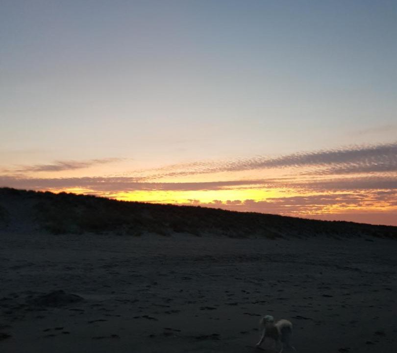 Photo of Others in Papamoa Beach