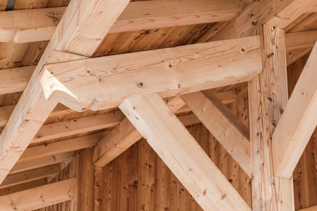 Photo of Others in Araches-la-Frasse