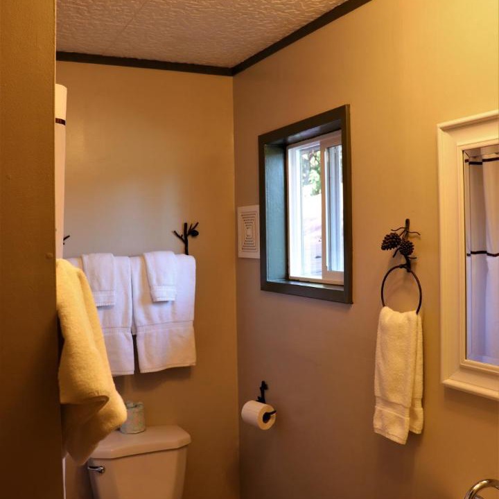 Photo of Others in Cougar