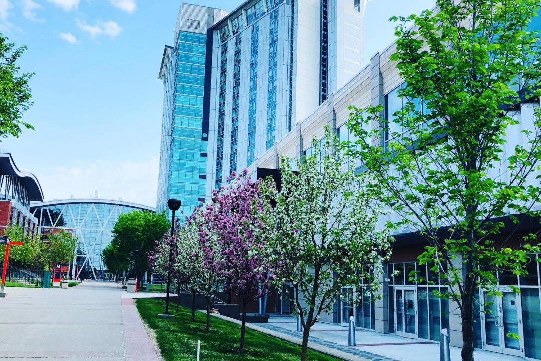 Photo of Others in Hillhurst