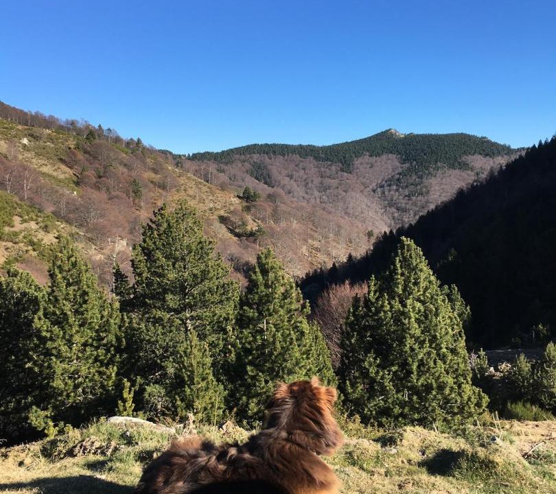 Photo of Others in Les Bains de la Preste