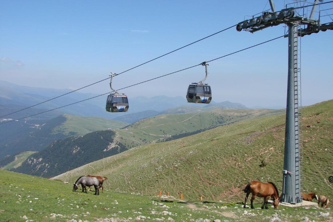 Photo of Others in La Molina