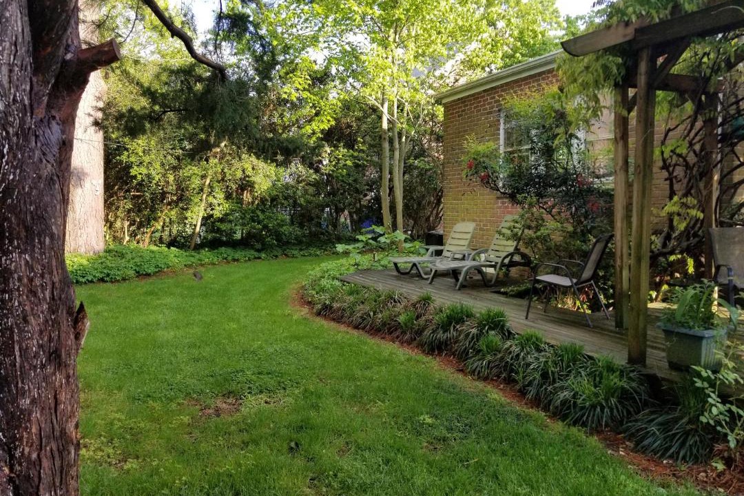 Photo of Others in Portsmouth