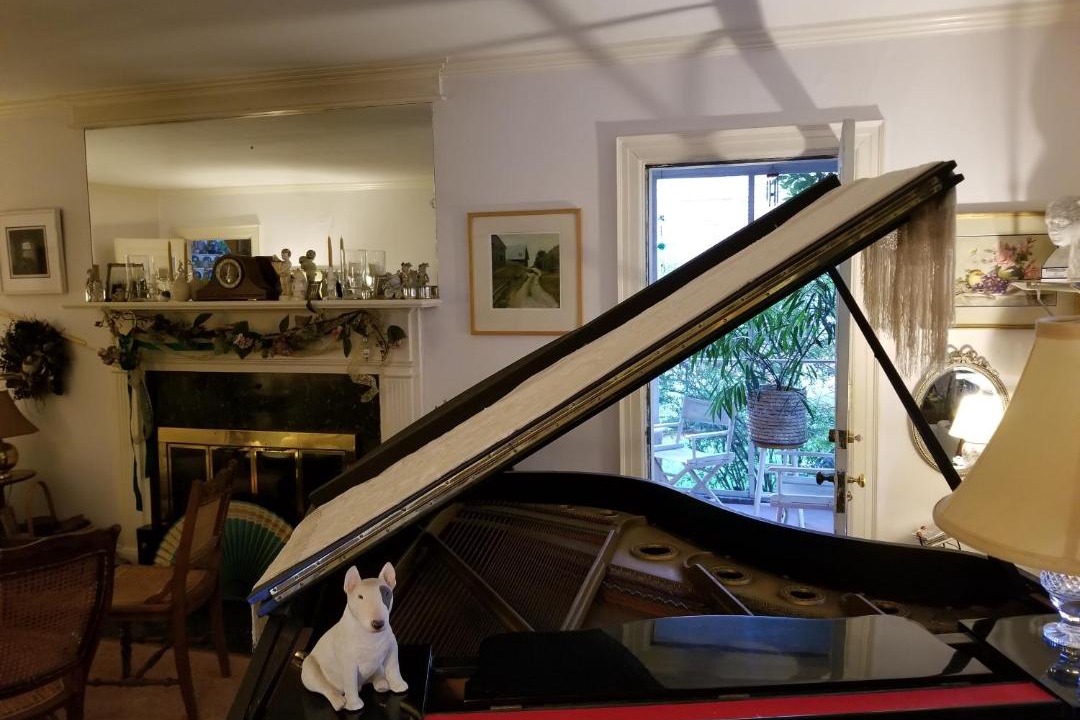 Photo of Others in Portsmouth