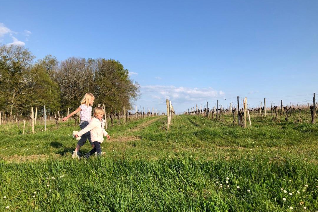 Photo of Outdoor in Verac