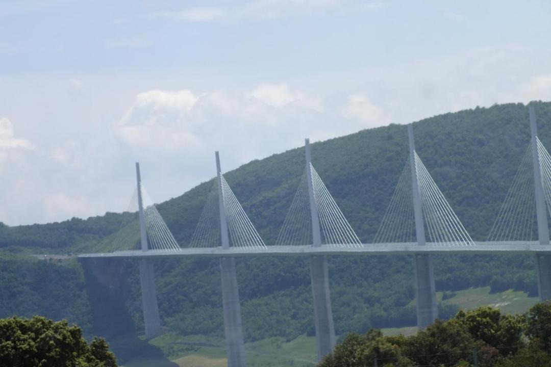 Photo of Others in Cornus