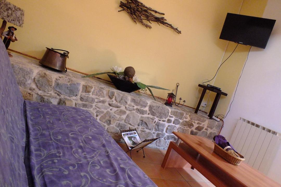 Photo of Others in Cornus