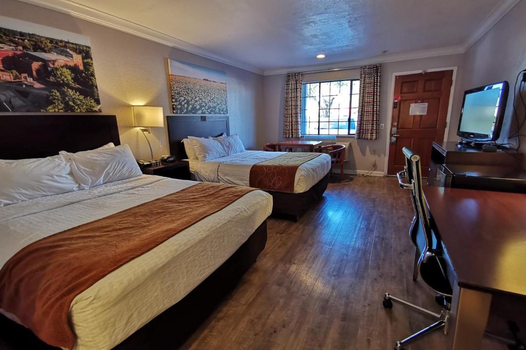 Photo of Others in Woodland