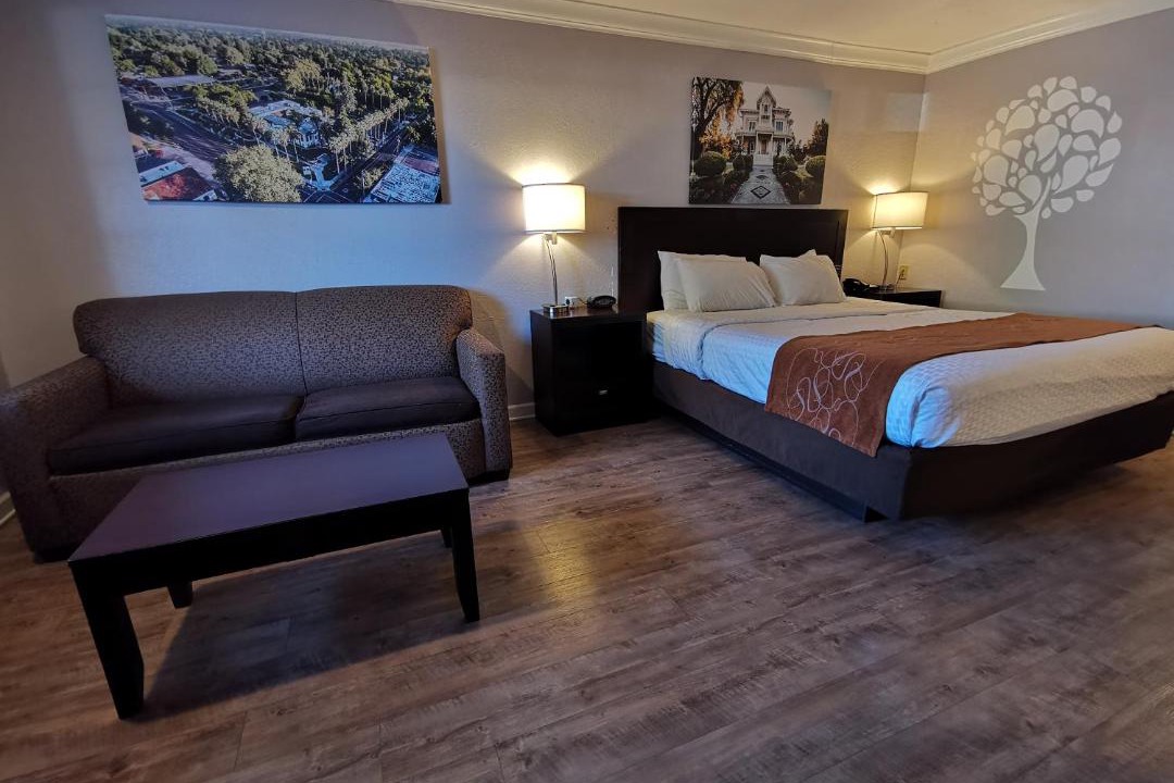 Photo of Others in Woodland