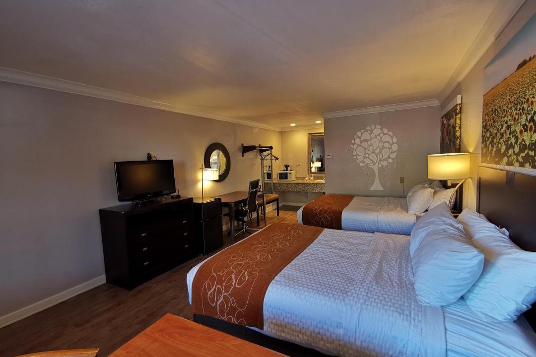 Photo of Others in Woodland