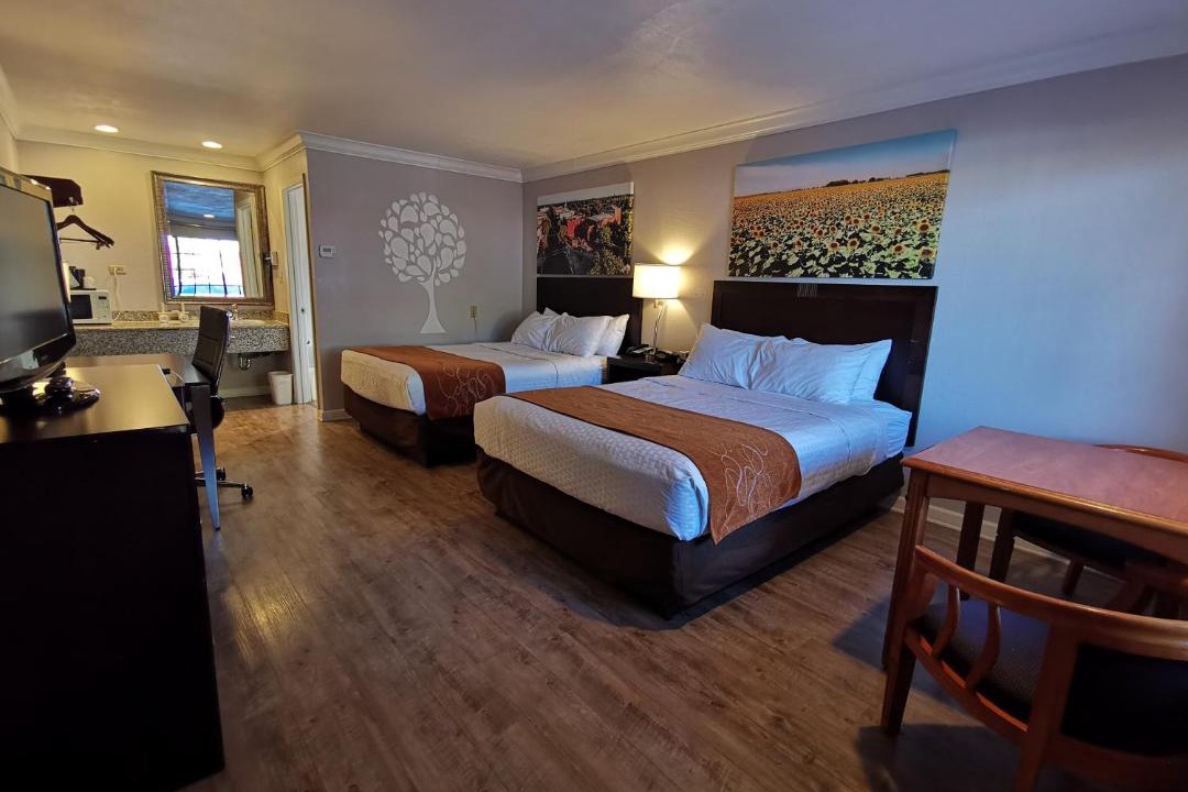 Photo of Others in Woodland