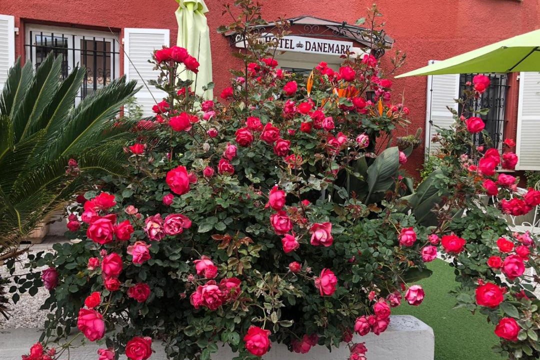 Photo of Others in Les Baumettes