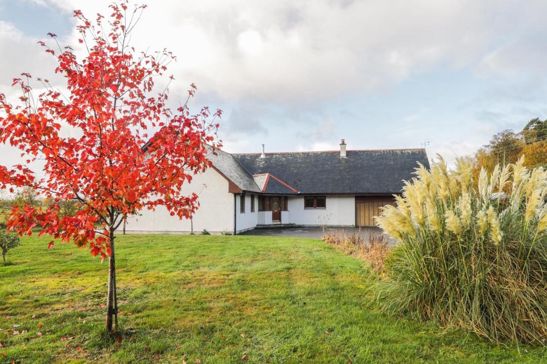 Photo of Others in Invergordon