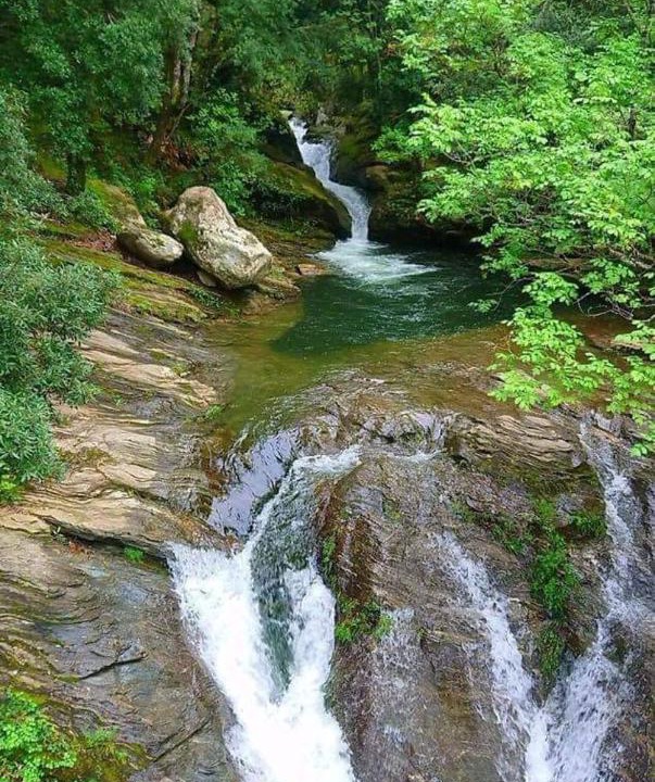 Photo of Others in Pietracorbara