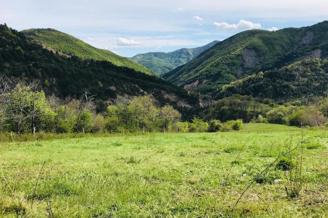 Photo of Outdoor in La Robine-sur-Galabre