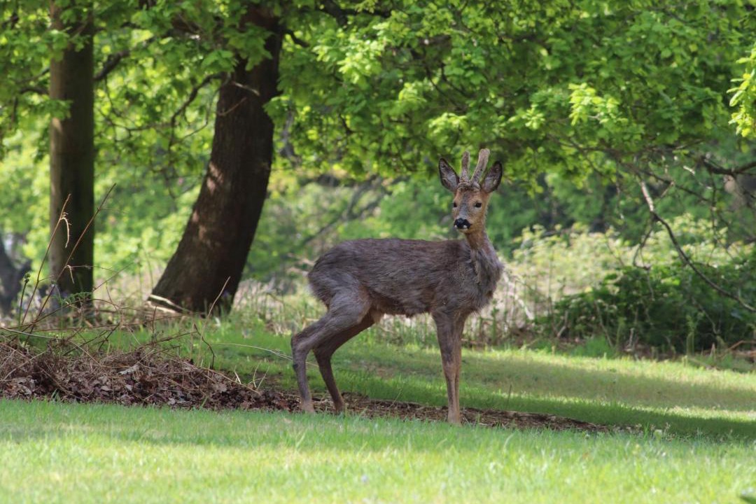 Photo of Others in Wimborne