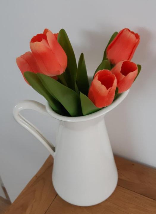 Photo of Others in Barton-on-Sea