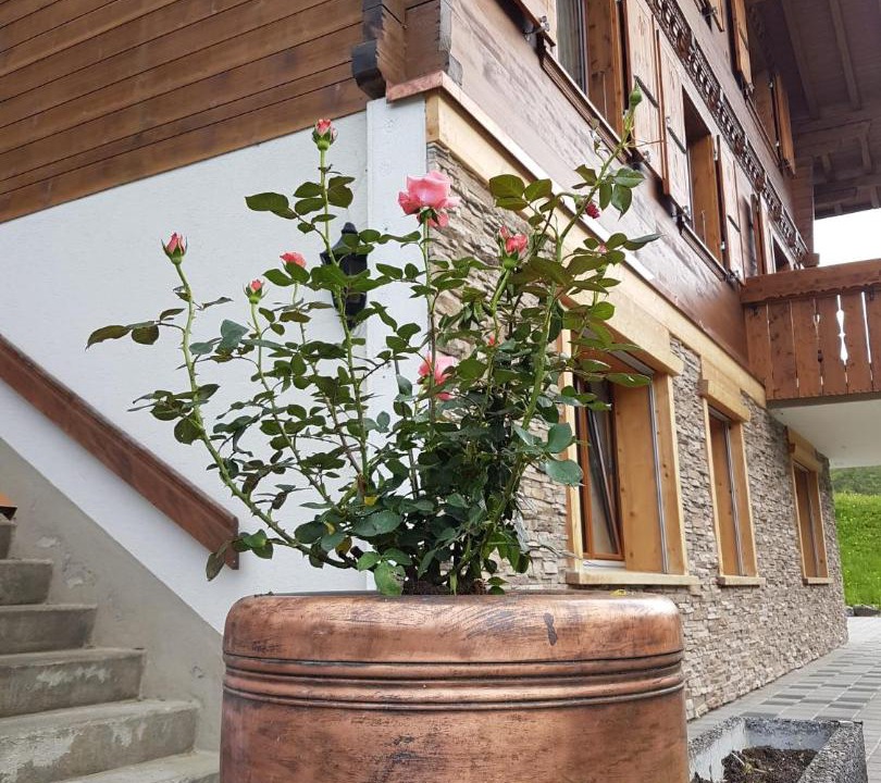 Photo of Others in Adelboden
