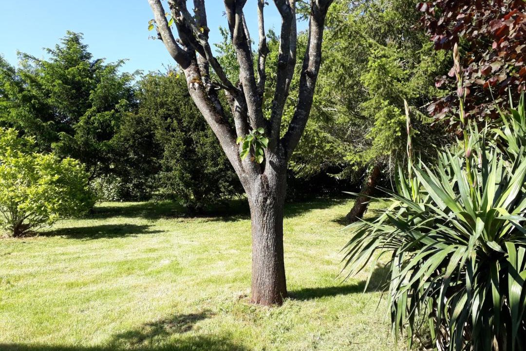 Photo of Outdoor in Maille