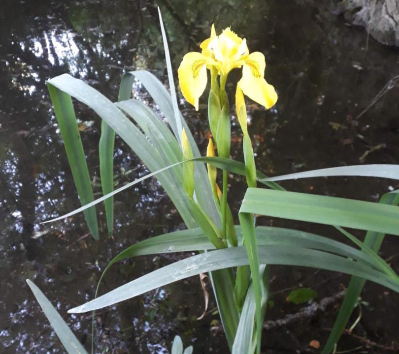 Photo of Outdoor in Maille