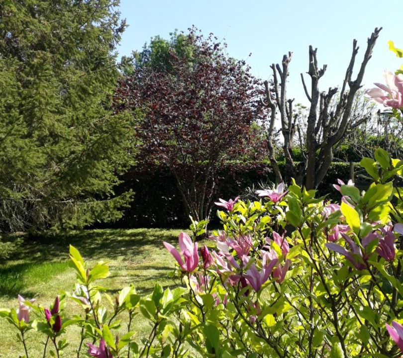 Photo of Outdoor in Maille