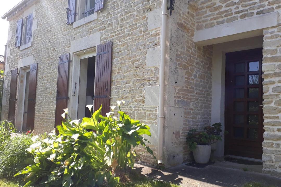 Photo of Others in Maille