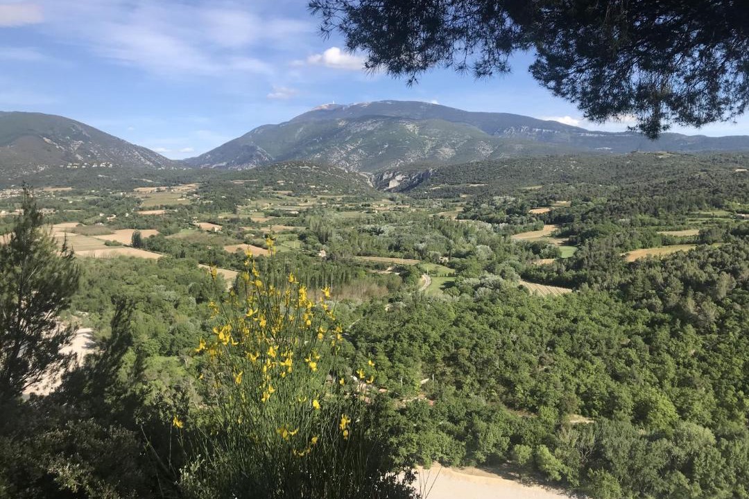 Photo of Others in Faucon