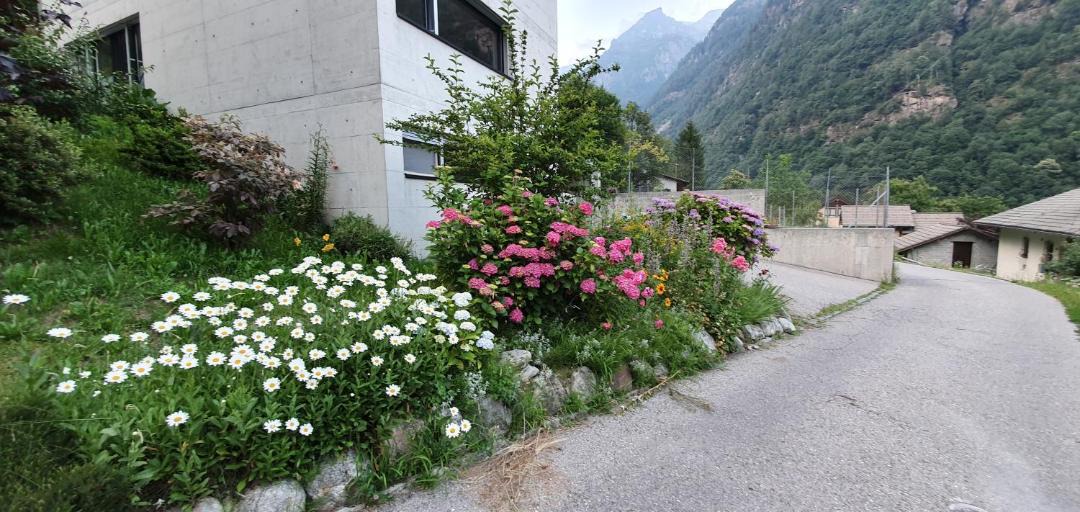 Photo of Others in Sonogno
