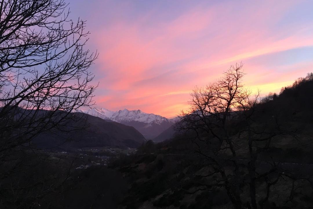 Photo of Others in Campan