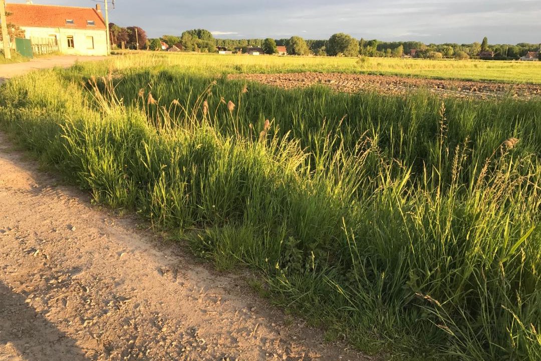 Photo of Others in Saint-Amand-les-Eaux