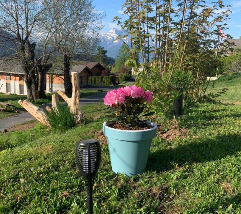 Photo of Others in Leysin