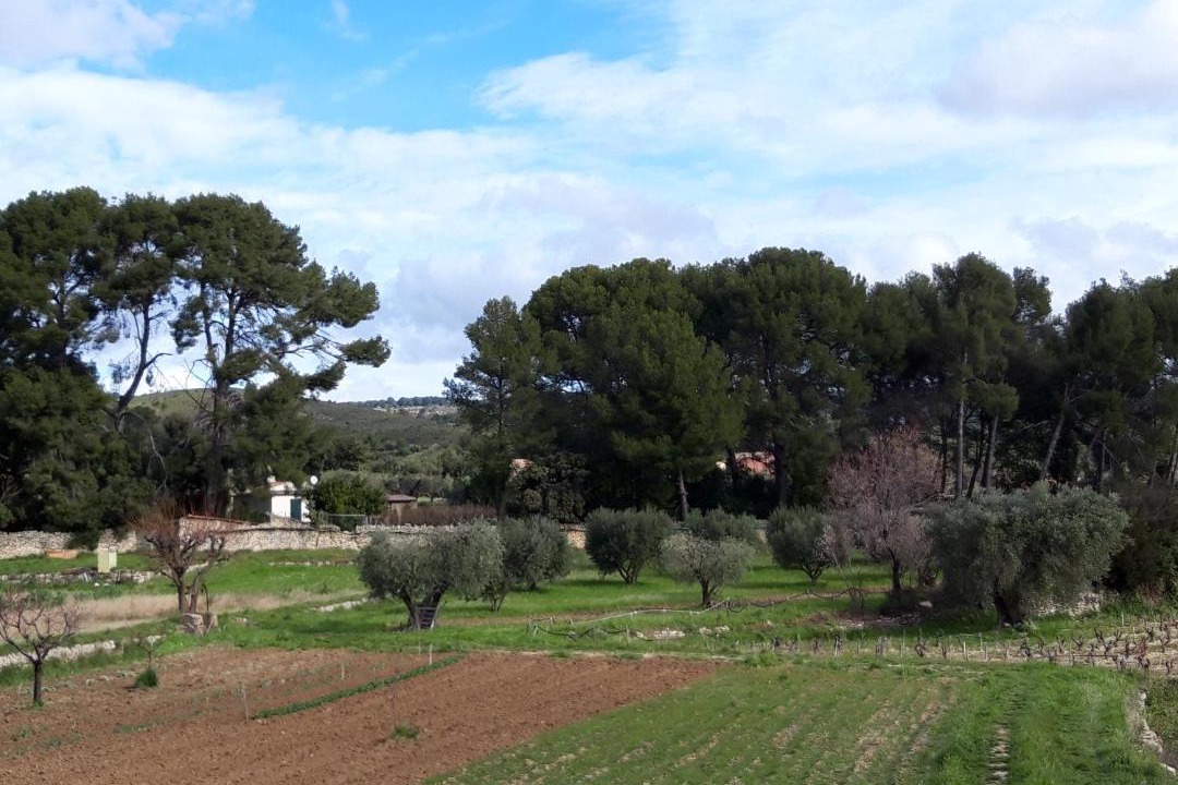 Photo of Others in Sainte-Anne du Castellet